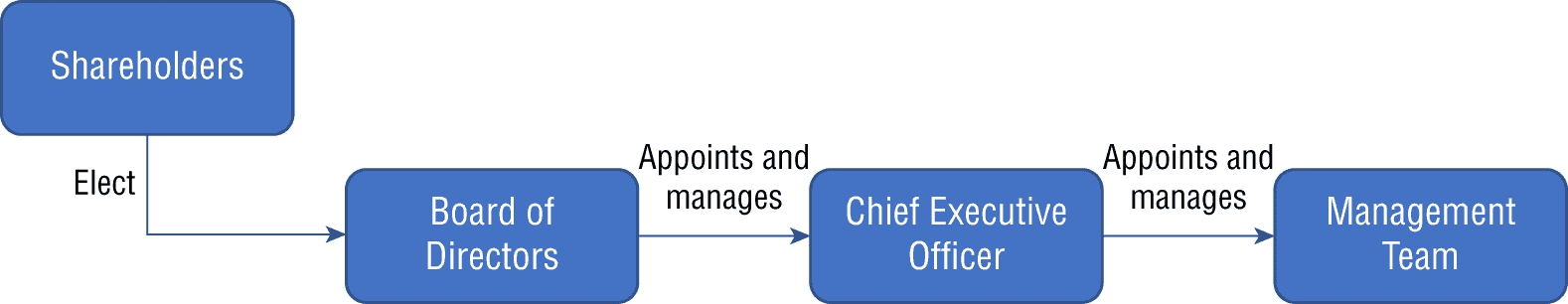FIGURE 16.1 Typical corporate governance model